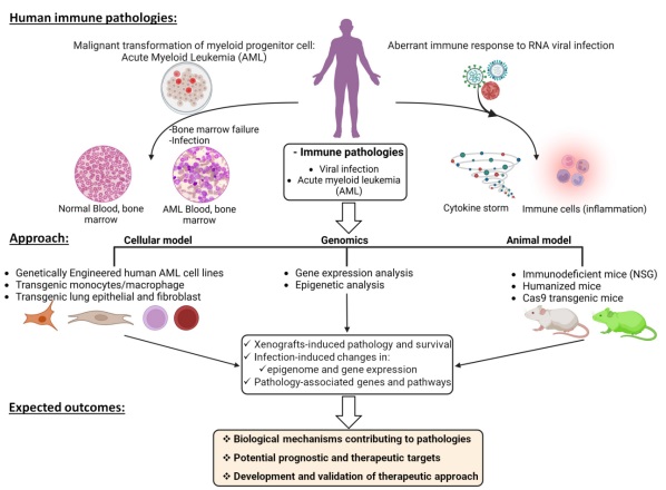 Figure: Interconnection among blood coagulation, cancer, and inflammation.