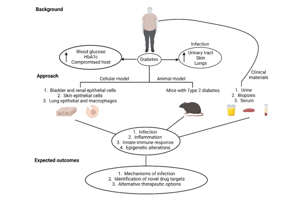 Figure: Interconnection among blood coagulation, cancer, and inflammation.